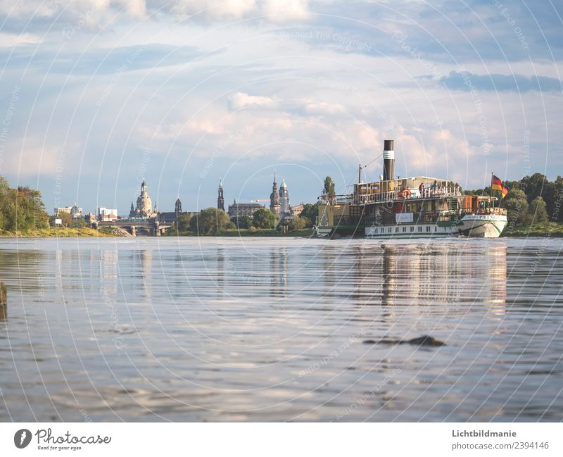 Dresden Skyline Dampfer kaufen Angeln Ferien & Urlaub & Reisen Tourismus Ausflug Sightseeing Städtereise Kreuzfahrt Sommer Wassersport Segeln Landschaft Pflanze