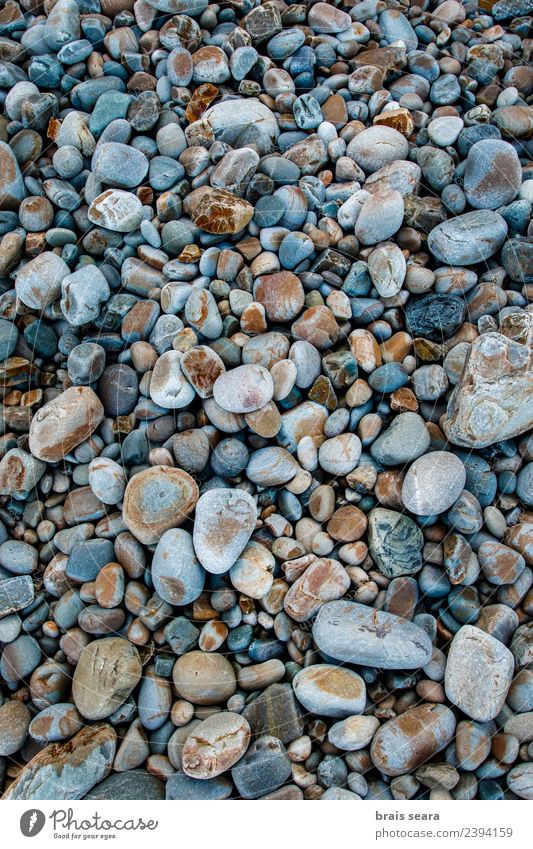 Kieselsteine Hintergrund Design schön Ferien & Urlaub & Reisen Sommer Strand Meer Dekoration & Verzierung Tapete Wissenschaften Umwelt Natur Landschaft Felsen