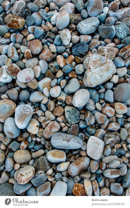 Kieselsteine Hintergrund Design schön Ferien & Urlaub & Reisen Sommer Strand Meer Dekoration & Verzierung Tapete Wissenschaften Umwelt Natur Landschaft Sand