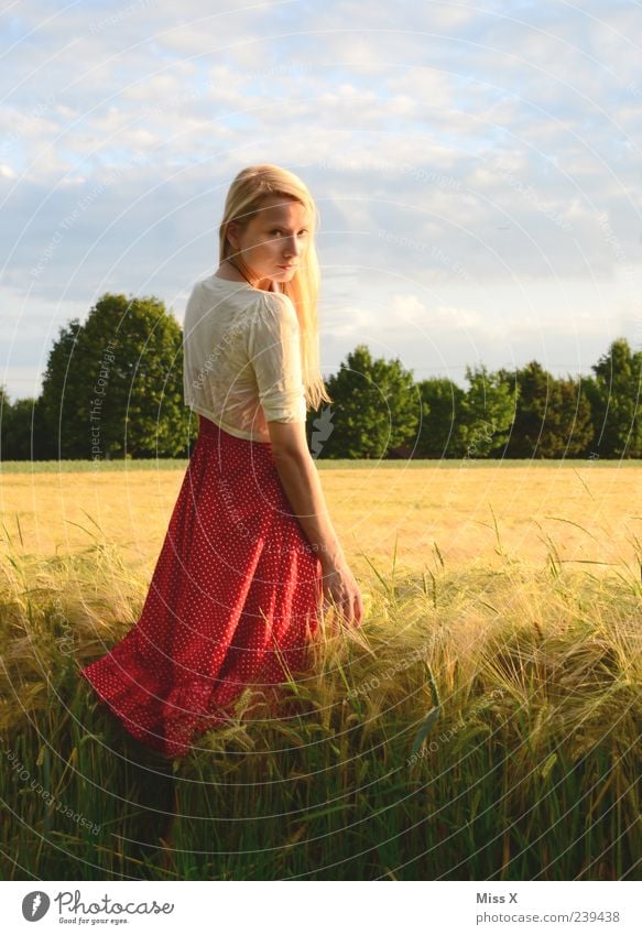 im Sonnenlicht II schön Erholung ruhig Mensch feminin Junge Frau Jugendliche 1 18-30 Jahre Erwachsene Natur Landschaft Himmel Sonnenaufgang Sonnenuntergang