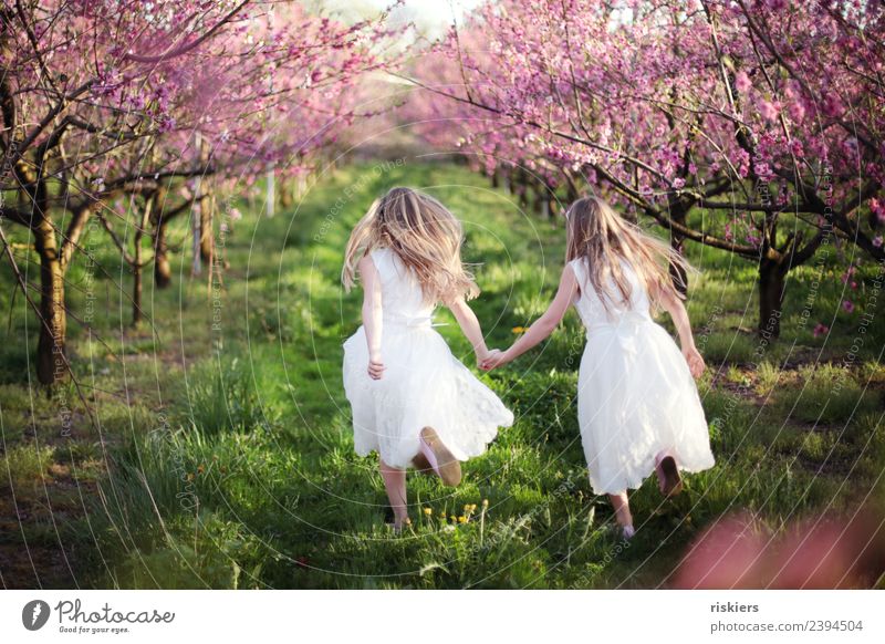 zweisam Mensch feminin Kind Mädchen Geschwister Schwester Kindheit 2 8-13 Jahre Umwelt Natur Landschaft Frühling Sommer Schönes Wetter Garten Wiese Feld