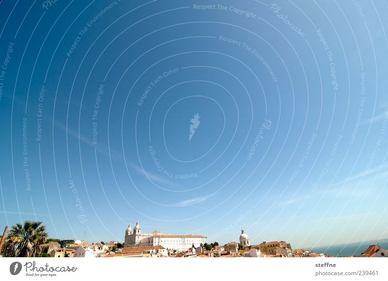 sao vicente und noch was meer Himmel Wolkenloser Himmel Sommer Schönes Wetter Baum Lissabon Portugal Hauptstadt Altstadt Skyline Haus Kirche Dach Palme Farbfoto