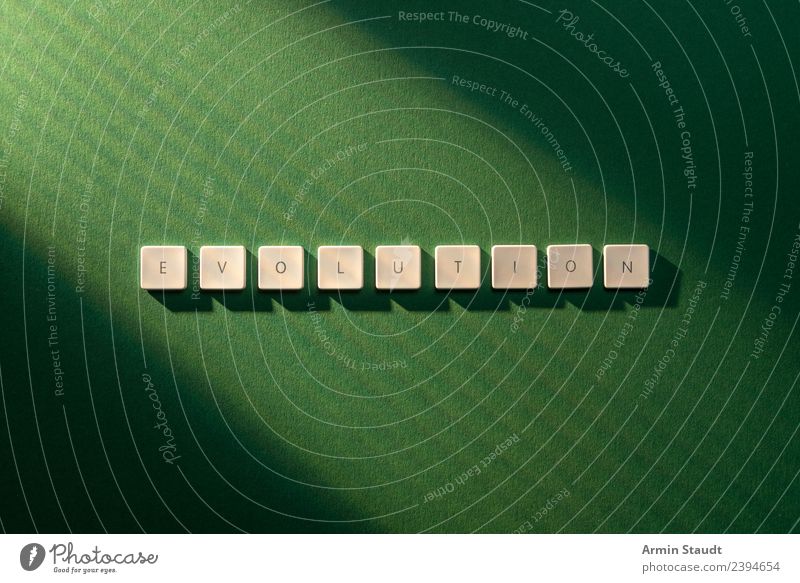 Evolution Stil Design Umwelt Natur Zeichen Schriftzeichen grün Stimmung Kraft Hoffnung innovativ planen Überleben Wissenschaften Symbole & Metaphern konzept