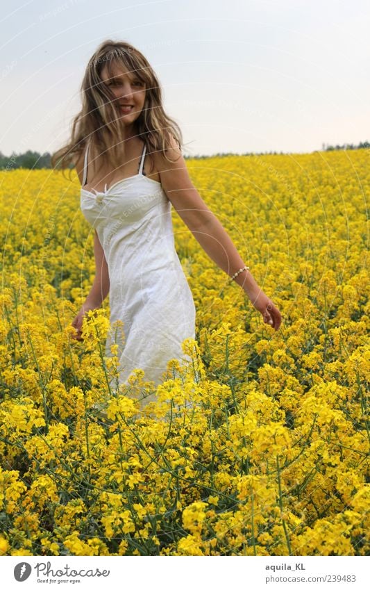 Goldmeer Mensch feminin Junge Frau Jugendliche Erwachsene 1 18-30 Jahre Natur Landschaft Pflanze Blume Sträucher Raps Rapsfeld Kleid brünett langhaarig Lächeln