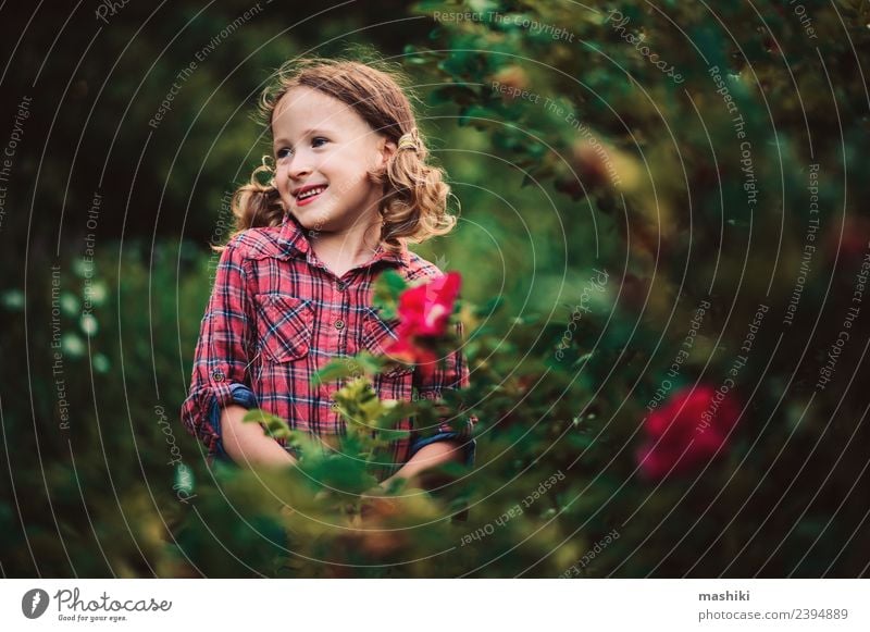 Kind Mädchen geht im Sommer spazieren Freude schön Spielen Ferien & Urlaub & Reisen Garten Kindheit Natur Wärme Blume Gras Wald Lächeln Fröhlichkeit klein