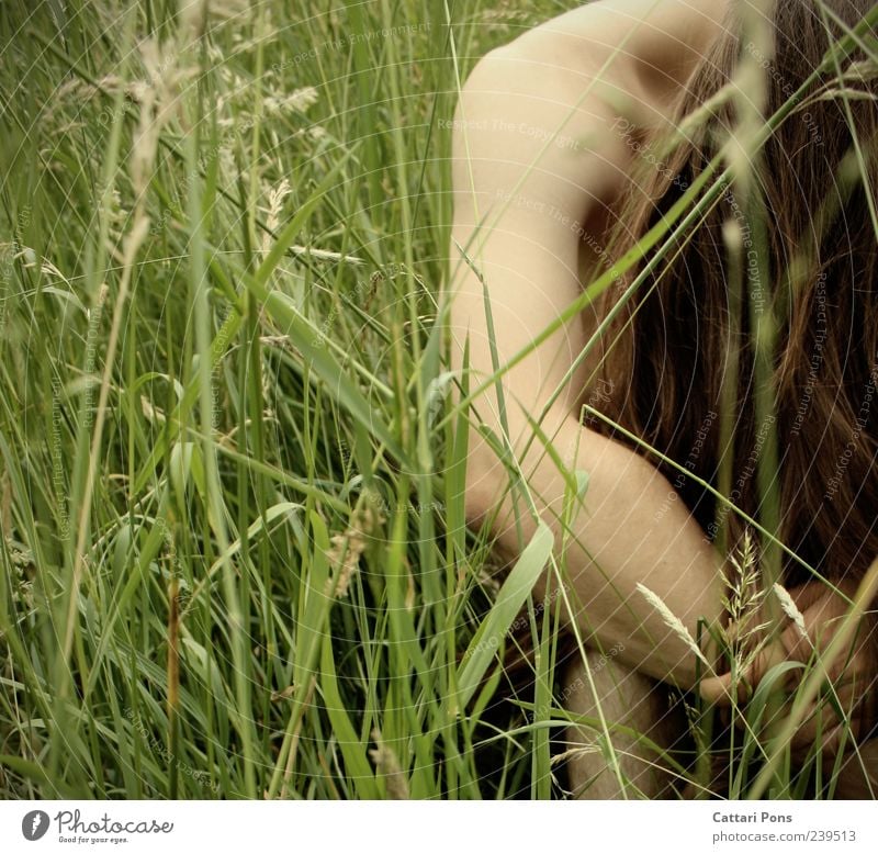 hiding place maskulin Junger Mann Jugendliche Erwachsene Körper Gras Sträucher Wiese brünett langhaarig festhalten hängen hocken machen einzigartig nackt