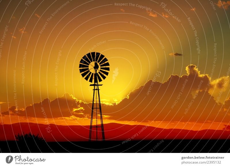 Abendstimmung Landschaft Himmel Wolken Horizont Sonnenaufgang Sonnenuntergang Sommer Kaktus Windrad aus Holz Stimmung Glück Zufriedenheit Lebensfreude