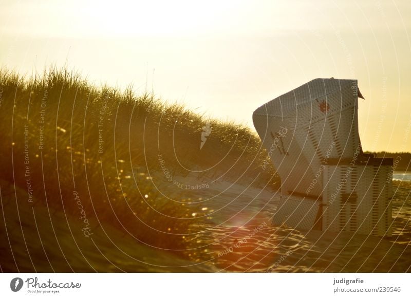 Abends Natur Landschaft Sonnenlicht Sommer Küste Strand Ostsee Meer leuchten außergewöhnlich fantastisch schön Stimmung Erholung Tourismus Umwelt