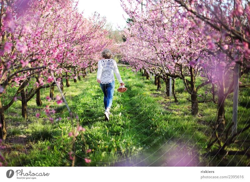 Frühlingserwachen feminin Junge Frau Jugendliche Erwachsene Leben 1 Mensch 18-30 Jahre 30-45 Jahre Umwelt Natur Landschaft Pflanze Schönes Wetter Garten Park