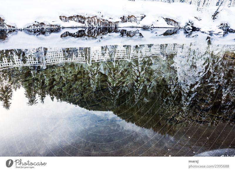 Noch ein bisschen Winterzauber Leben ruhig Winterurlaub Natur Schönes Wetter Eis Frost Schnee Bach Hoffnung träumen Trauer Vergänglichkeit Irritation