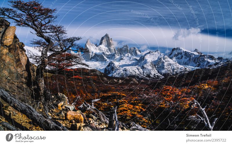 Fitz Roy View wandern Abenteuer Ferne Freiheit Berge u. Gebirge Landschaft Himmel Wolken Wald Gipfel Schneebedeckte Gipfel gigantisch kalt braun Kraft Mut