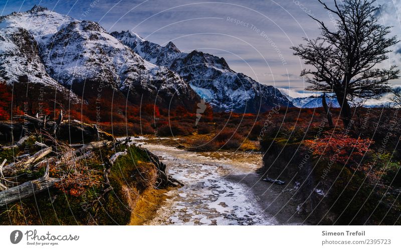 Weg im Fitz-Roy Nationalpark Tourismus Abenteuer Ferne Freiheit Expedition Berge u. Gebirge wandern Herbst Winter Klima Schönes Wetter Eis Frost Anden