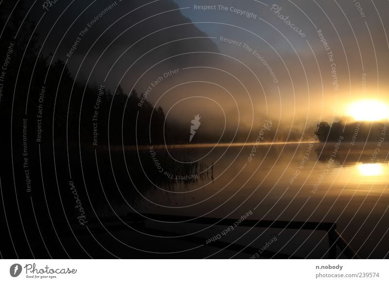 Traumhafter Sonnenaufgang Natur Landschaft Wasser Sonnenuntergang Schönes Wetter Seeufer Gefühle Stimmung Idylle Farbfoto Außenaufnahme Morgen