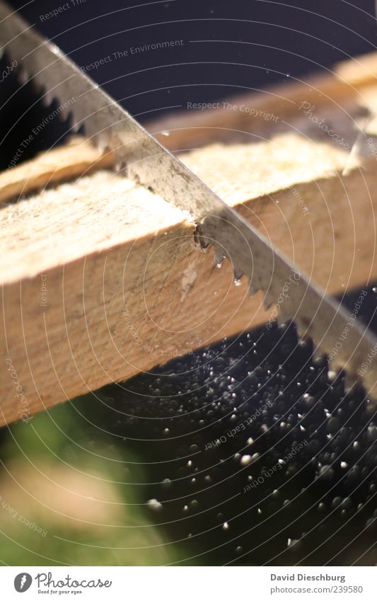 Holzmichel@work Handwerker Säge Arbeit & Erwerbstätigkeit Kraft Tatkraft Bewegung Sägemehl Metall Werkzeug Farbfoto Außenaufnahme Nahaufnahme Detailaufnahme Tag