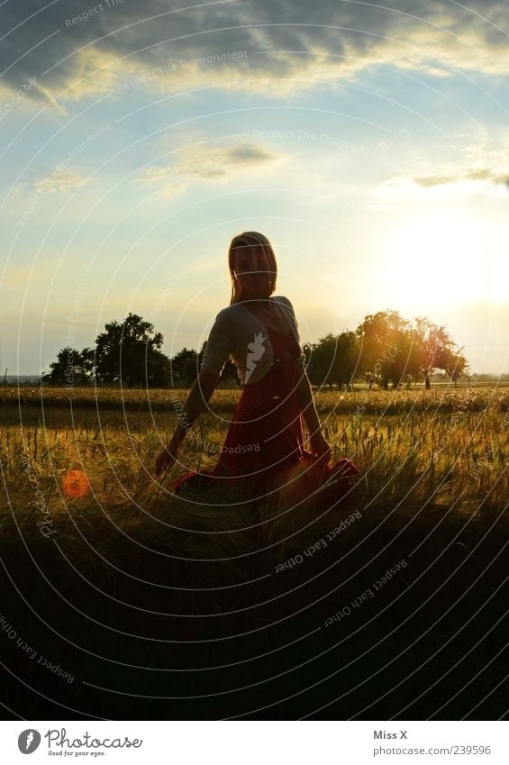 in der Dunkelheit Mensch feminin Junge Frau Jugendliche 1 18-30 Jahre Erwachsene Himmel Wolken Gewitterwolken Wetter Feld blond dunkel Wärme ästhetisch schön