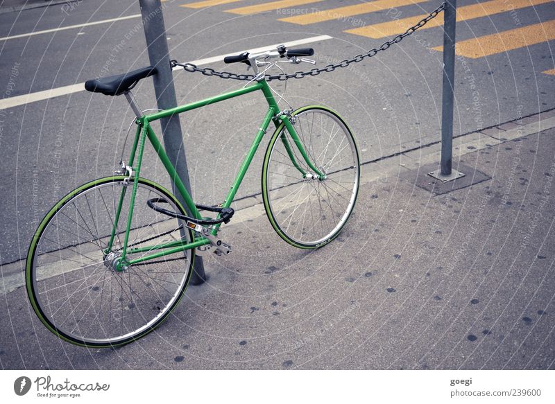 Eingangrad IV Straße Verkehrszeichen Verkehrsschild Zebrastreifen Straßenrand Bürgersteig Fahrrad Schilder & Markierungen grün Singlespeed Fixie Farbfoto