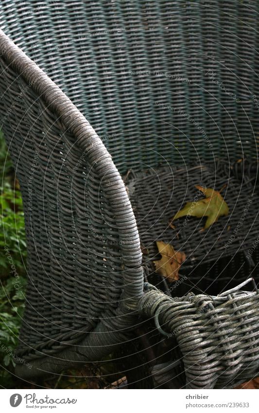 Alterungsprozess Sessel Herbst Blatt Herbstlaub Korbstuhl alt kaputt trist grau Sitzgelegenheit Sperrmüll wegwerfen Gedeckte Farben Außenaufnahme verfallen