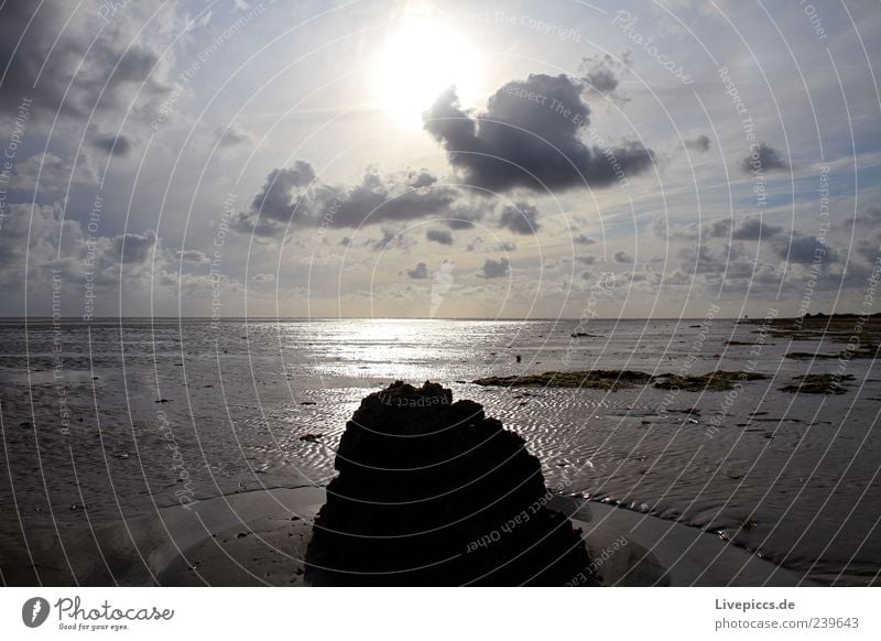 Wattlandschaft Ausflug Freiheit Sommerurlaub Strand Meer Insel Natur Landschaft Sonne Sonnenaufgang Sonnenuntergang Schönes Wetter Wellen Küste Seeufer Nordsee