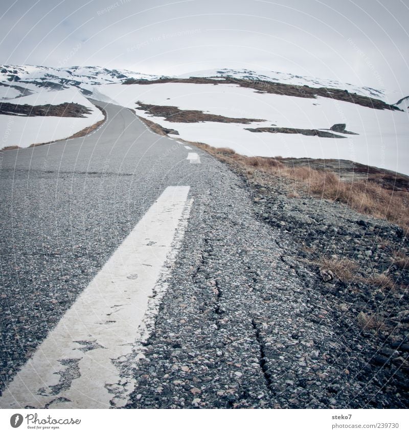 Schneestraße Berge u. Gebirge Schneebedeckte Gipfel Straße trist grau weiß Einsamkeit Ferne Norwegen Ferien & Urlaub & Reisen Winter Markierungslinie Asphalt