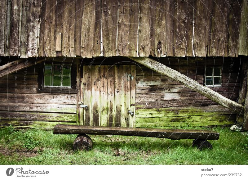 grünbraun Moos Wiese Hütte Fassade Fenster Tür Holz alt Armut Norwegen Bank ländlich Bauernhof Farbfoto Außenaufnahme Menschenleer Textfreiraum oben Holzhütte