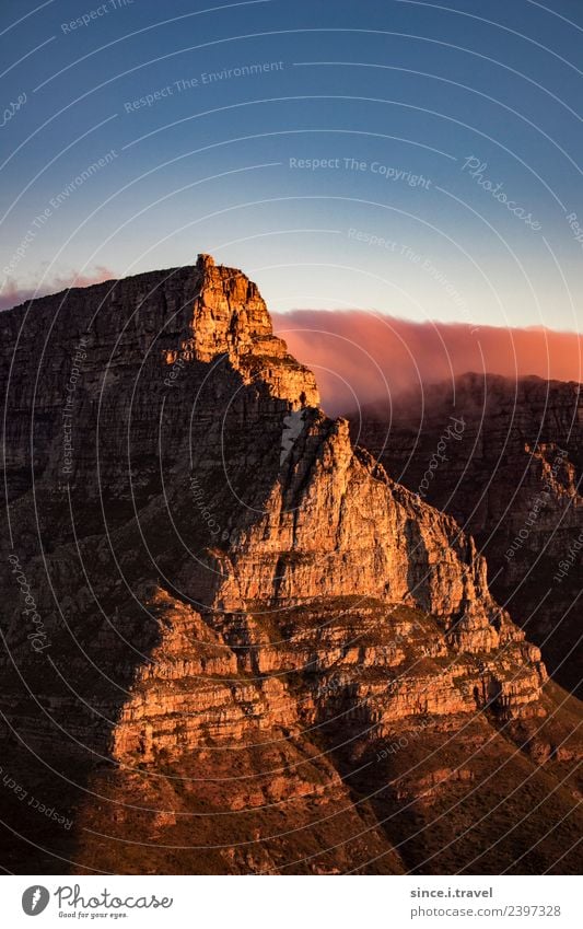 Kapstadt Tafelberg im Sonnenuntergang Südafrika Natur Landschaft Urelemente Himmel Sommer Schönes Wetter Felsen Berge u. Gebirge Gipfel Afrika Sehenswürdigkeit