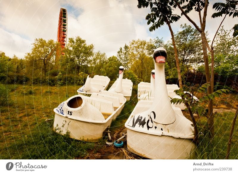 Spreepark Vergnügungspark Riesenrad Zerstörung Plänterwald Wolken vergangen Vergangenheit Insolvenz Berlin Schwan Wasserfahrzeug Tretboot kaputt Farbfoto