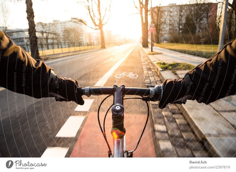 Radfahrer-Egoperspektive Fahrradtour Sonne Fahrradfahren Mensch Hand 1 Schönes Wetter Stadt Verkehr Verkehrsmittel Verkehrswege Personenverkehr Straße