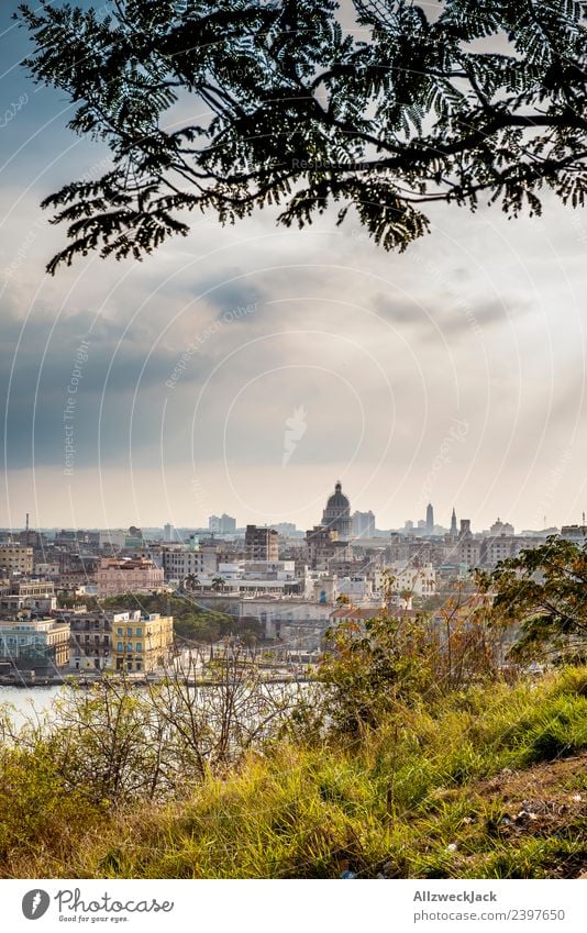 Blick auf die Skyline von Havanna Kuba Insel Sozialismus Ferien & Urlaub & Reisen Reisefotografie Ausflug El Malecón Aussicht Kapitol Wahrzeichen