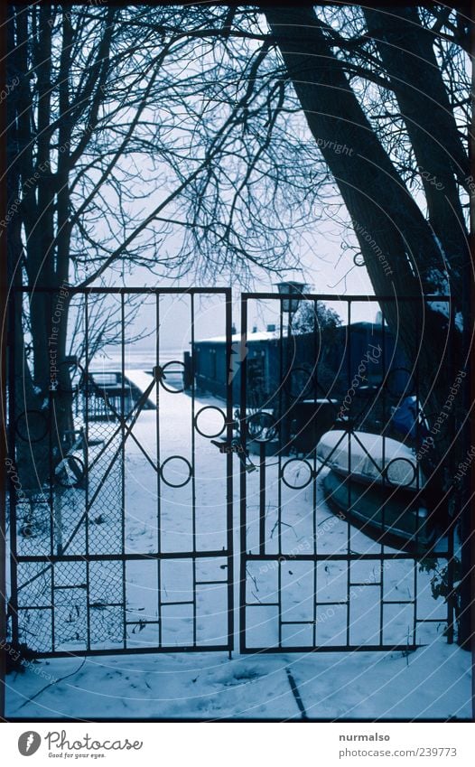 Tor zum Kalten Heim Lifestyle Umwelt Natur Landschaft Winter Nebel Eis Frost Schnee Baum Haus Himmel Eisentor Zeichen frieren dunkel einfach kalt trashig trist