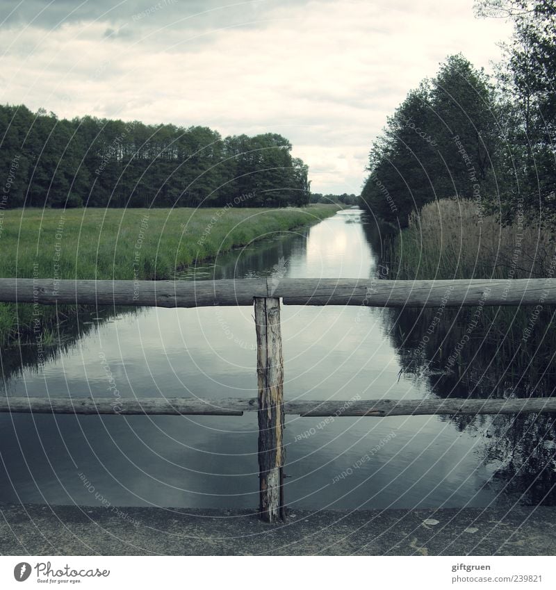 smell of rain Umwelt Natur Landschaft Pflanze Wasser Himmel Wolken schlechtes Wetter Wiese Wald Flussufer Bach natürlich Geländer Brücke Brückengeländer fließen