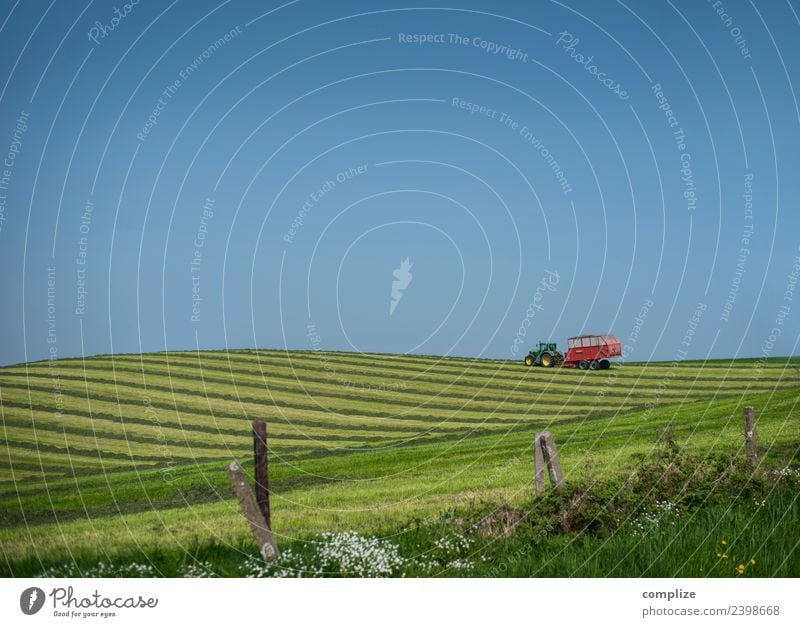 Landwirtschaft II Lebensmittel Ferien & Urlaub & Reisen Freiheit Gartenarbeit Arbeitsplatz Forstwirtschaft Umwelt Natur Himmel Wolkenloser Himmel Klima Wiese