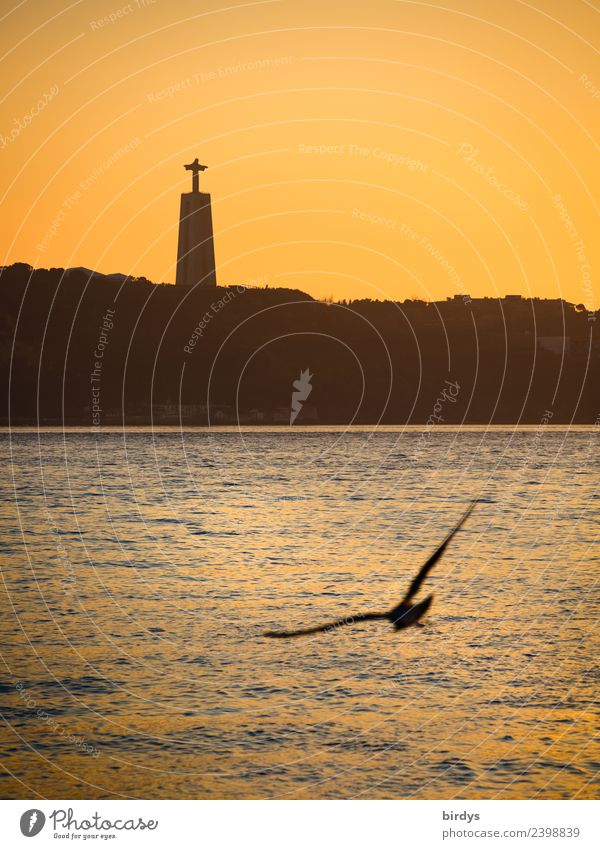 Cristo Rei, Lissabon Ferien & Urlaub & Reisen Städtereise Skulptur Wolkenloser Himmel Sonnenaufgang Sonnenuntergang Fluss Tejo Sehenswürdigkeit Wahrzeichen