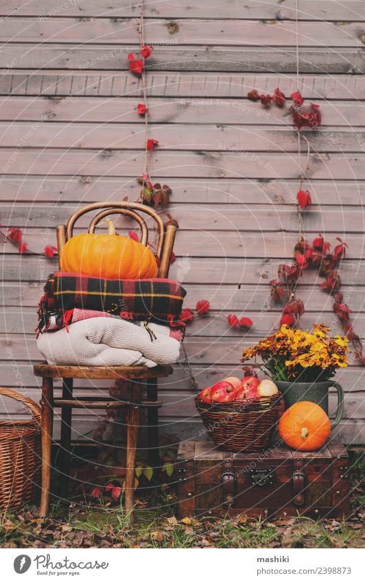 auf dem Landhaus fallen. Saisonale rustikale Dekorationen Apfel Lifestyle Haus Dekoration & Verzierung Erntedankfest Pflanze Herbst Wärme Blume Holz Wachstum