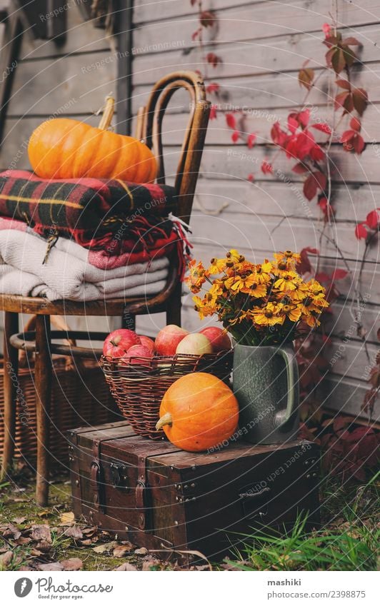 auf dem Landhaus fallen. Saisonale rustikale Dekorationen Apfel Lifestyle Leben Haus Dekoration & Verzierung Tisch Erntedankfest Herbst Holz Wachstum frisch