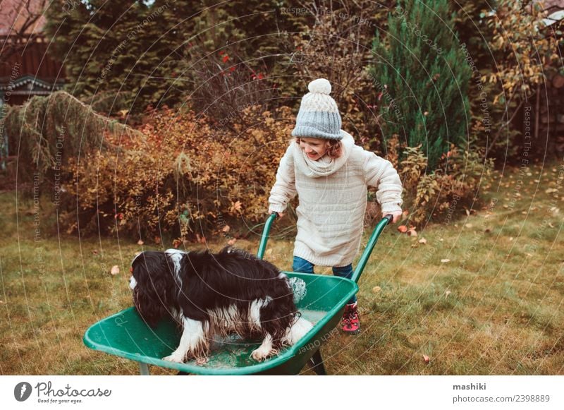 lustiges Kind Mädchen reitet mit ihrem Hund in der Schubkarre Lifestyle Freude Spielen Garten Freundschaft Kindheit Herbst Wetter Pullover Haustier Fröhlichkeit