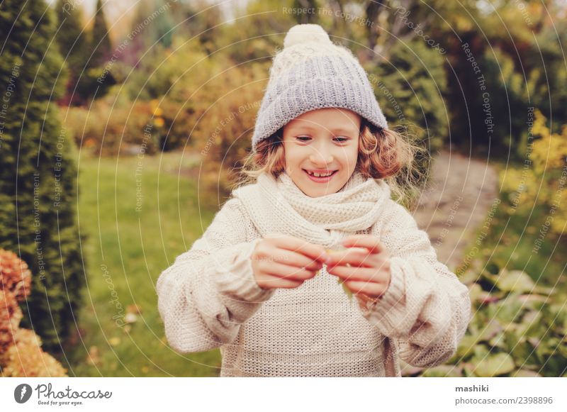 süßes glückliches Kind Mädchen spielt auf Herbstspaziergang Freude Spielen Ferien & Urlaub & Reisen Garten Arbeit & Erwerbstätigkeit Natur Wärme Blume Blatt