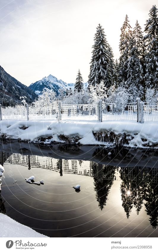 Angeblich soll es ja weit runterschneien... Natur Winter Schönes Wetter Eis Frost Schnee Baum Berge u. Gebirge Bach Zaun kalt natürlich Reflexion & Spiegelung