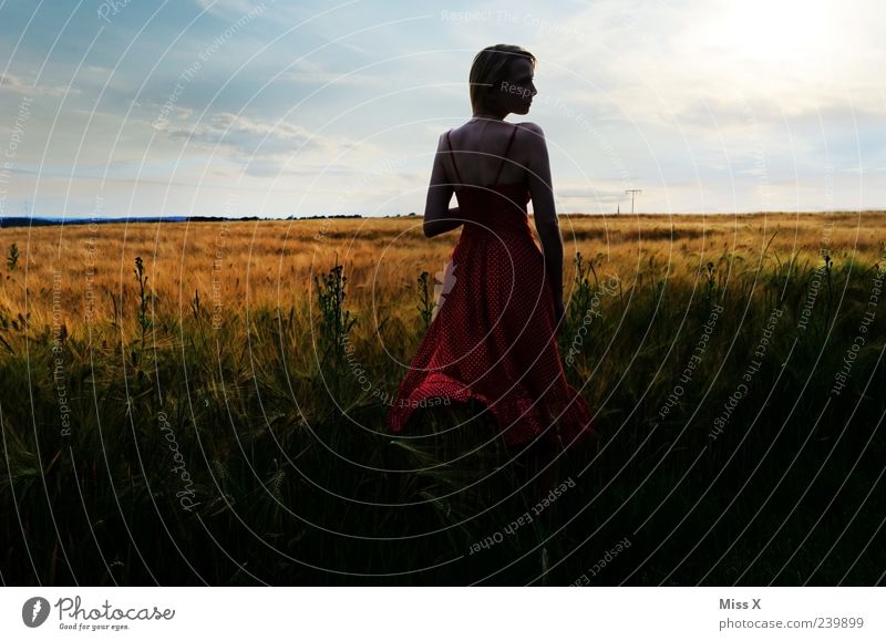 Sehnsucht schön Mensch feminin Junge Frau Jugendliche 1 18-30 Jahre Erwachsene Natur Landschaft Himmel Schönes Wetter Gras Sträucher Feld Kleid Stimmung