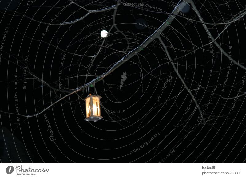 Laterne in der Nacht Vollmond dunkel Dinge Ast Mond