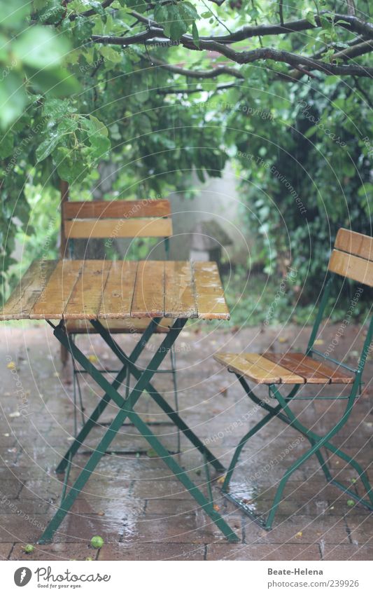 Das andere Gesicht des Sommers Häusliches Leben Garten Natur schlechtes Wetter Regen frieren kalt nass braun grün Gewitterregen Wetterumschwung Sommerpause