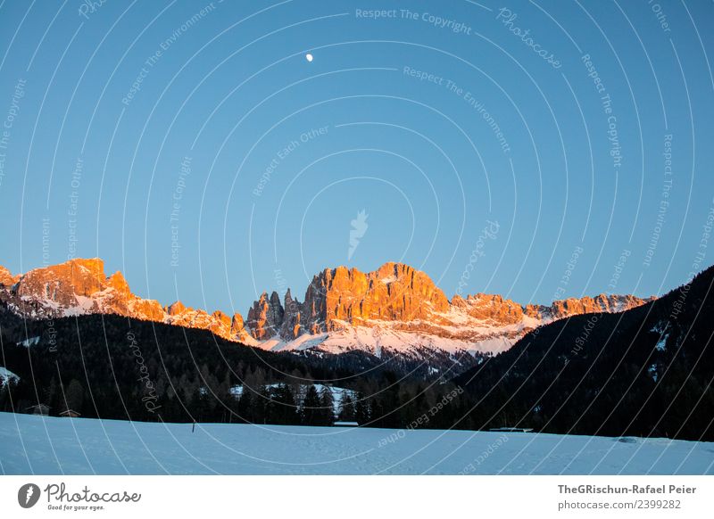 Dolomiten Umwelt Natur Landschaft blau braun gelb gold schwarz weiß Berge u. Gebirge Mond Aussicht Wald Schnee Sonnenuntergang Himmel Stimmung Licht Südtirol