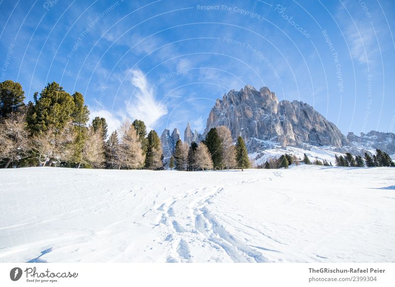 Dolomiten Umwelt Natur Landschaft blau braun grau grün schwarz weiß Berge u. Gebirge wandern Wege & Pfade Spuren Schnee Schneespur Aussicht aufsteigen Wald