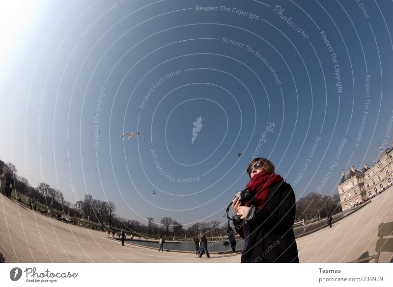 Die Vögel Ferien & Urlaub & Reisen Tourismus Sightseeing Städtereise Mensch feminin Junge Frau Jugendliche 1 18-30 Jahre Erwachsene Fotografie Fotografieren