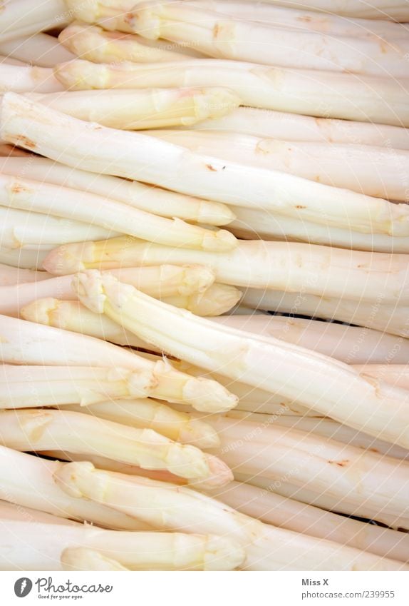 Spargel Lebensmittel Gemüse Ernährung Bioprodukte Vegetarische Ernährung frisch Gesundheit lecker weiß Appetit & Hunger Farbfoto Nahaufnahme Muster Menschenleer