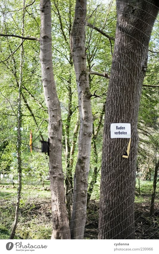 Baden verboten Umwelt Natur Baum Schriftzeichen Schilder & Markierungen Hinweisschild Warnschild Verbote Baumstamm Schwimmen & Baden Regel Farbfoto