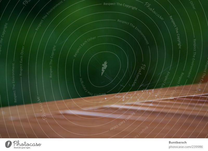 Wasserkraft Tisch Natur Urelemente Wassertropfen Wetter schlechtes Wetter Regen Holz nass natürlich braun grün Leben Farbfoto Außenaufnahme Detailaufnahme