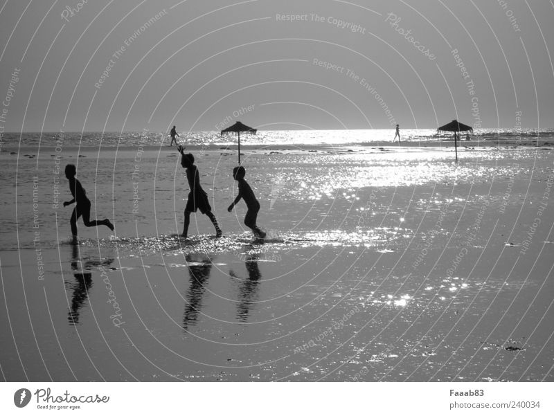 Kids of the sun Spielen Freiheit Strand Meer Wasser Sommer Küste glänzend frech frei Glück Unendlichkeit silber Freude Fröhlichkeit Zufriedenheit Lebensfreude