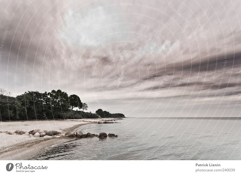 I won´t be found schön Strand Meer Umwelt Natur Landschaft Sand Wasser Himmel Wolken Wetter Wald Wellen Küste Ostsee entdecken Freiheit Horizont Idylle Stimmung