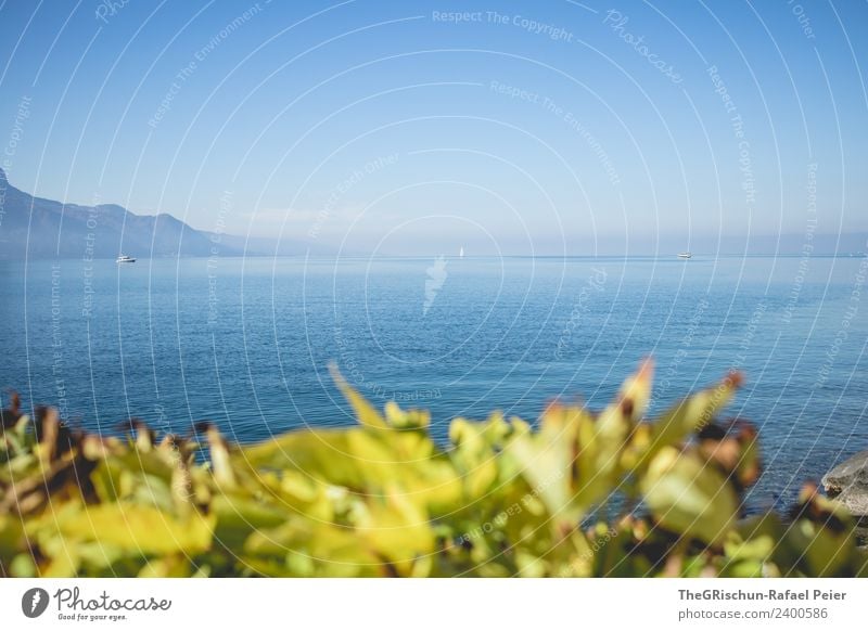 Genfersee Umwelt Natur Landschaft blau grün Pflanze Wasser Berge u. Gebirge Horizont Ferne Wasserfahrzeug Sträucher Dunst Genfer See Farbfoto Außenaufnahme