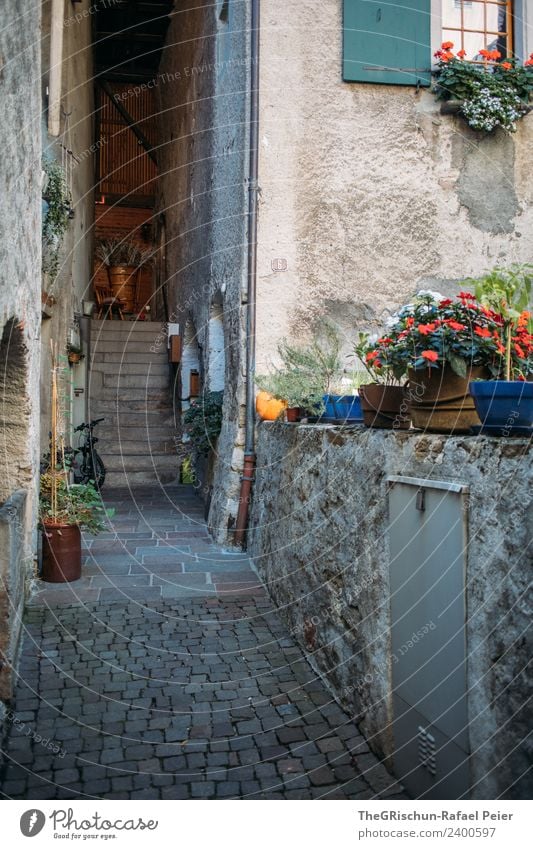 Hauseingang Dorf blau grau grün Gasse Mauer Treppe Blume Pelargonie Pflastersteine Fenster Fensterladen Farbfoto Menschenleer Textfreiraum unten Tag Weitwinkel